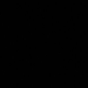 Meet your Posher, Elmer